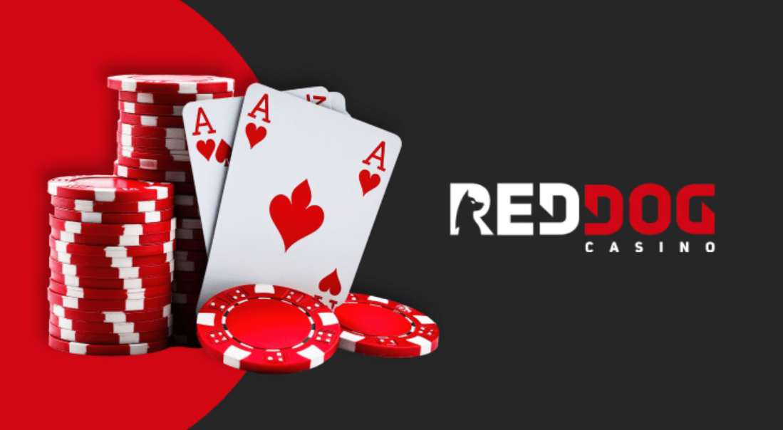 Overview of the Red Dog Casino Mobile App 2